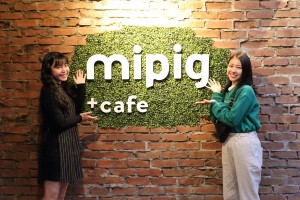 mipig cafe 原宿店