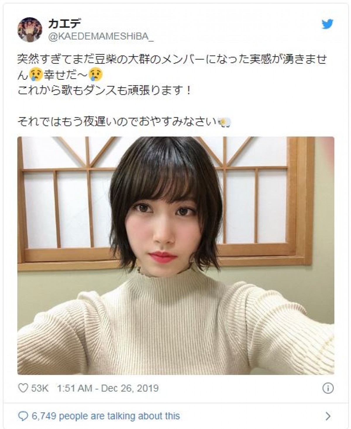 豆 柴 の 大群 メンバー twitter