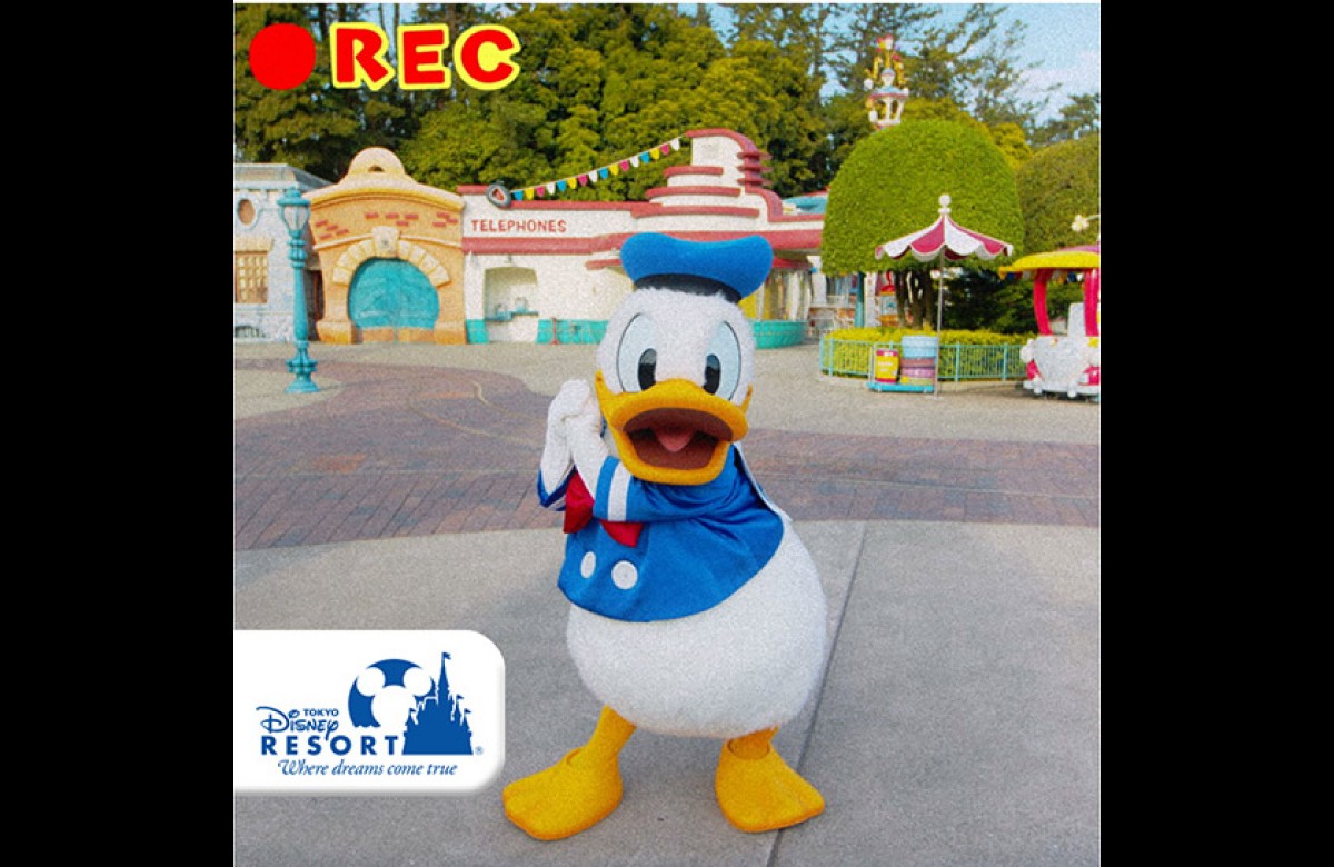 東京ディズニーリゾート、2019年“いいね”ランキング発表！　1位に選ばれたのは？