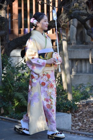 乃木坂46 新成人メンバー成人式に登場した向井葉月