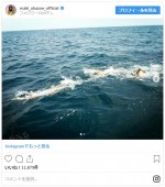 この写真ではどれが本人かは分からないが…　※「岡副麻希」インスタグラム