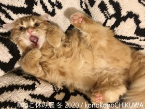 人気の猫クリエイター集結、「ねこ休み展 冬 2020」