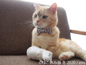 人気の猫クリエイター集結、「ねこ休み展 冬 2020」