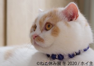 人気の猫クリエイター集結、「ねこ休み展 冬 2020」