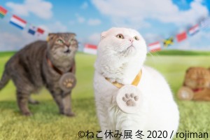 人気の猫クリエイター集結、「ねこ休み展 冬 2020」