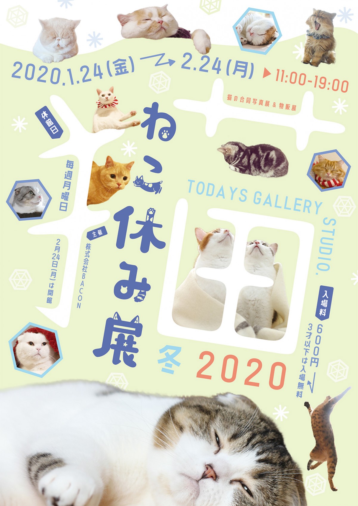 人気の猫クリエイター集結、「ねこ休み展 冬 2020」