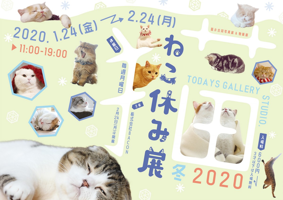 人気の猫クリエイター集結、「ねこ休み展 冬 2020」