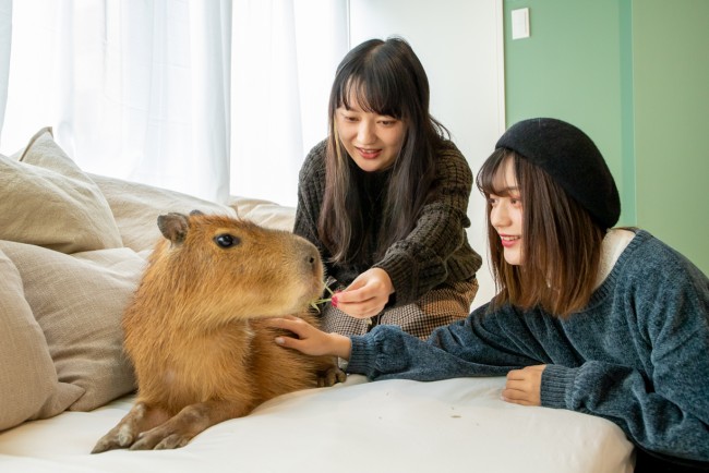 吉祥寺に、ねこ＆カピバラとふれあえるカフェ誕生！　保護ねこの里親探しも