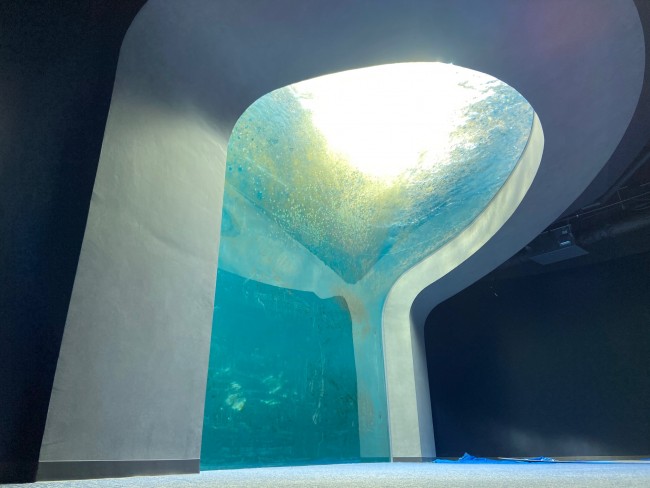 四国最大級の水族館「四国水族館」、館内を初公開！　“ダイナミックな展示”が随所に