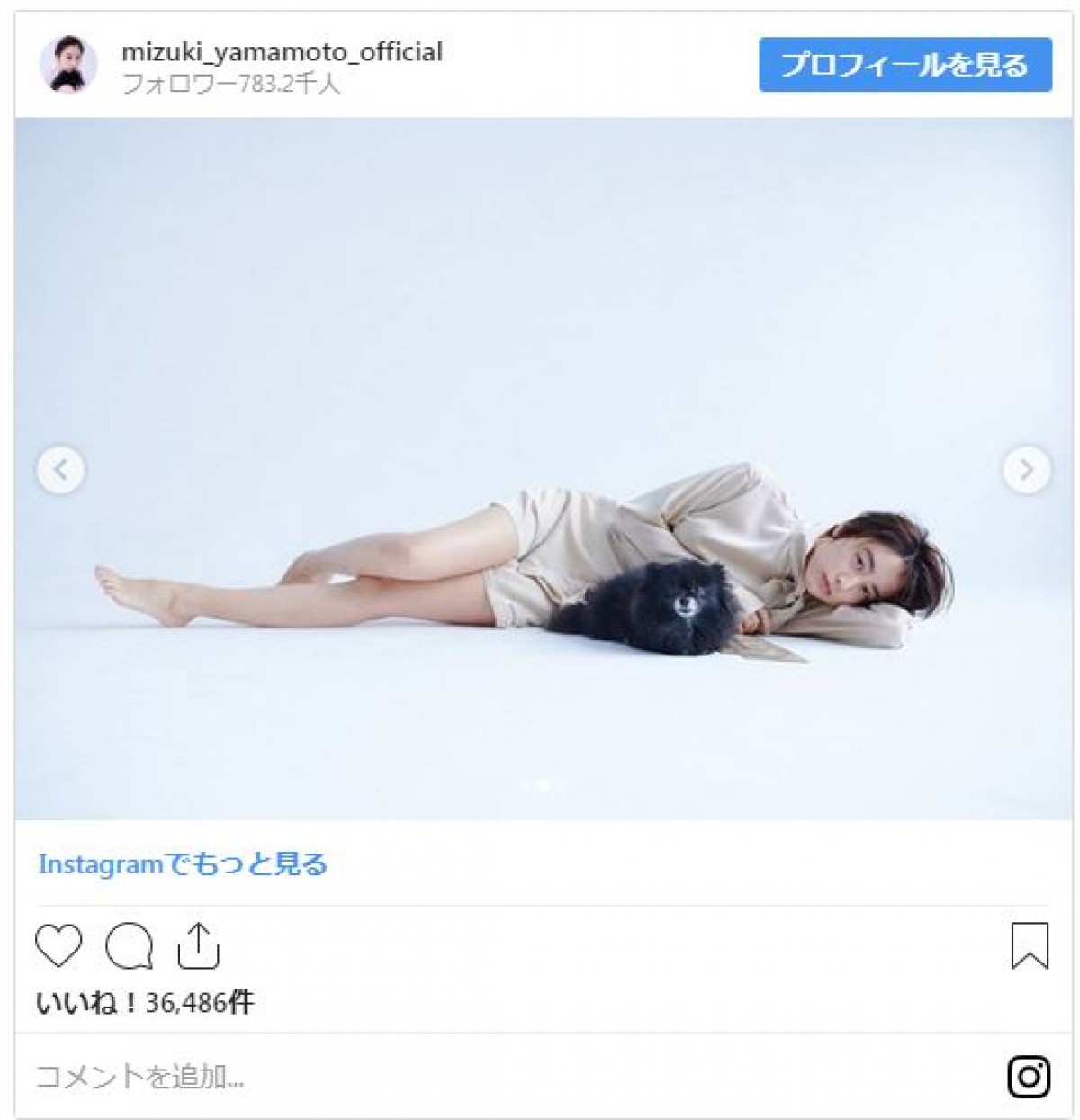 山本美月、透き通る白い“美脚”あらわ　愛犬とたわむれる姿がかわいい！