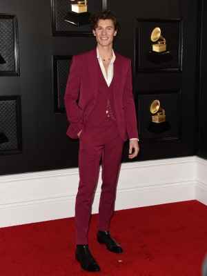 ショーン・メンデス、第62回グラミー賞レッドカーペットに登場