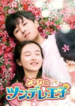 『となりのツンデレ王子』2月4日（火）DVDリリース！