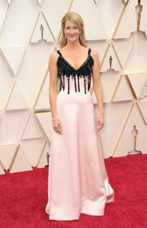 ローラ・ダーン、第92回アカデミー賞授賞式レッドカーペットにて