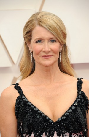 ローラ・ダーン、第92回アカデミー賞授賞式レッドカーペットにて