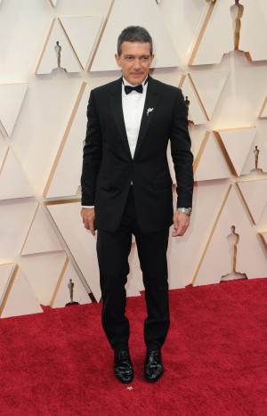 アントニオ・バンデラス、第92回アカデミー賞授賞式レッドカーペットにて