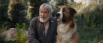 映画『野性の呼び声』ソーントン役のハリソン・フォードと名犬バックの場面写真