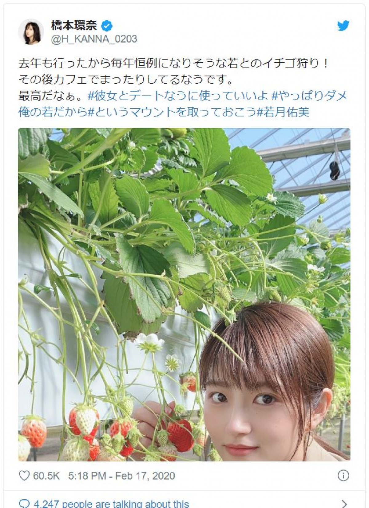 橋本環奈＆若月佑美 “美しすぎるイチゴ狩り”にファン「いちごになりたい」
