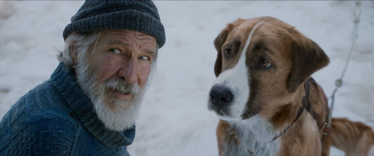 映画『野性の呼び声』ソーントン役のハリソン・フォードと名犬バックの場面写真