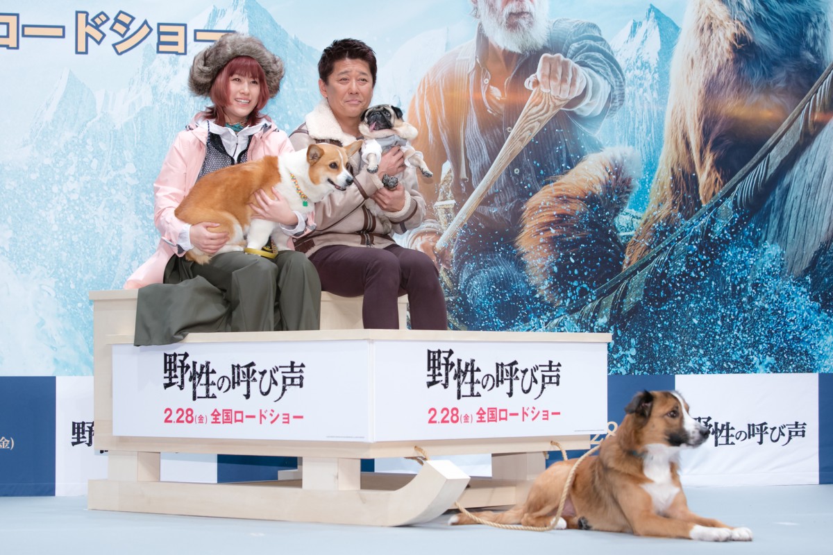 坂上忍、愛犬との出会いで変化「”我慢”を覚えた」