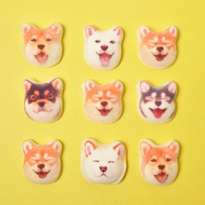 もふもふころりん 柴犬雑貨コレクション