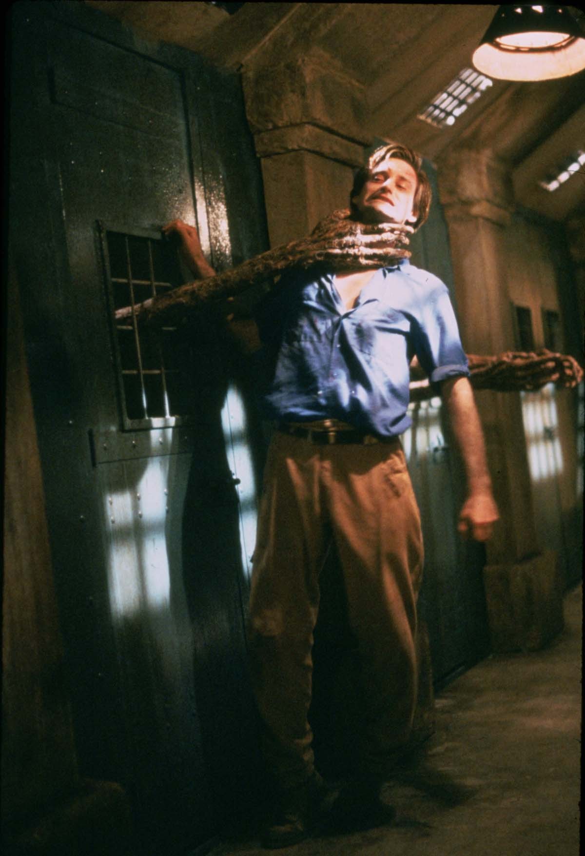 ホラー・マニアックス第12期『殺人魚フライングキラー』『ドッグ・ソルジャー』『フェノミナ』など8作品