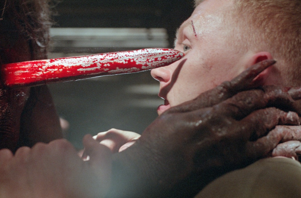 ホラー・マニアックス第12期『殺人魚フライングキラー』『ドッグ・ソルジャー』『フェノミナ』など8作品