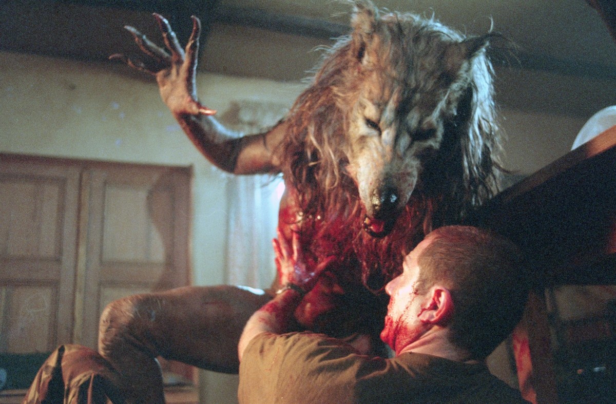 ホラー・マニアックス第12期『殺人魚フライングキラー』『ドッグ・ソルジャー』『フェノミナ』など8作品