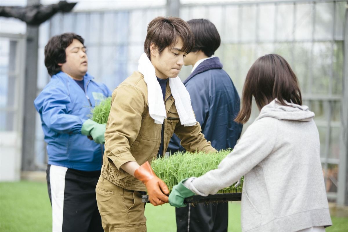 焼鮭＆みずみずしいトマト　おいしいごはんが目白押し！ 南沙良主演『もみの家』朝食シーン公開