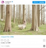 　※「最上もが」インスタグラム