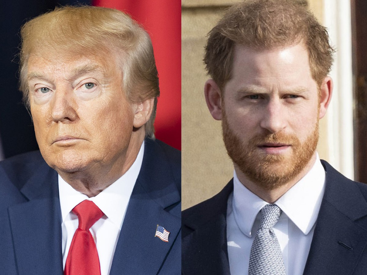 (左から)ドナルド・トランプ大統領、ヘンリー王子