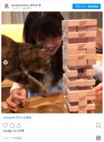 突如横切る愛猫もかわいい！　※「倉科カナ」インスタグラム