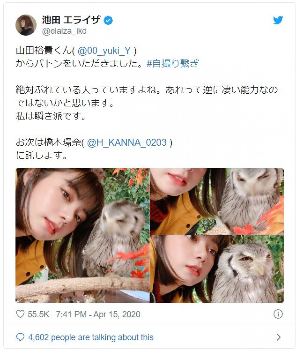 池田エライザ→橋本環奈→浜辺美波　美しすぎる“自撮り繋ぎ”が話題