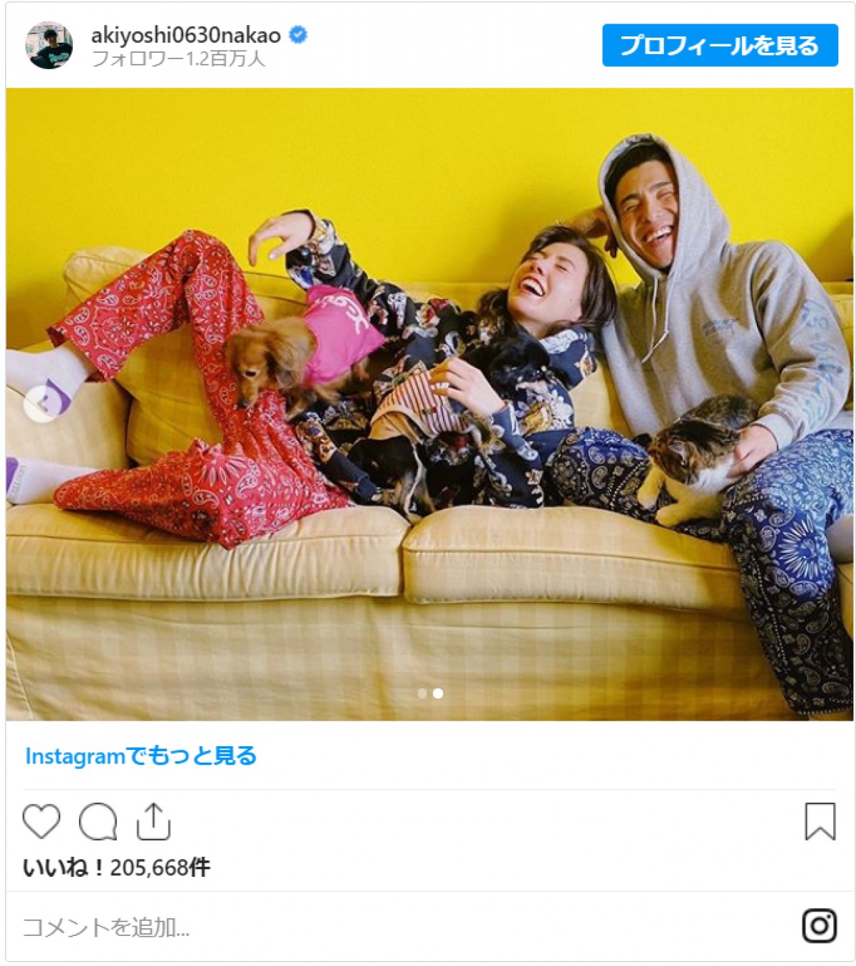 中尾明慶＆仲里依紗、結婚7周年記念日に互いにメッセージ　夫婦でインスタライブも