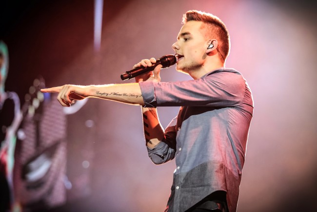 『ワン・ダイレクションTHIS IS US』、ONE DIRECTION：THIS IS US