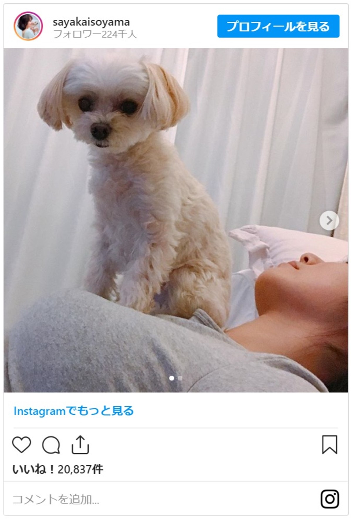 磯山さやか、愛犬と“ステイホーム”　ナチュラルな美ぼう＆ナイスバディぶりに絶賛の声