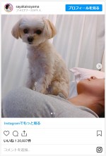 ※「磯山さやか」インスタグラム