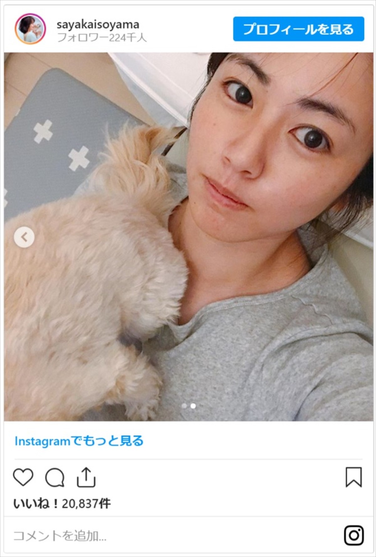 磯山さやか、愛犬と“ステイホーム”　ナチュラルな美ぼう＆ナイスバディぶりに絶賛の声