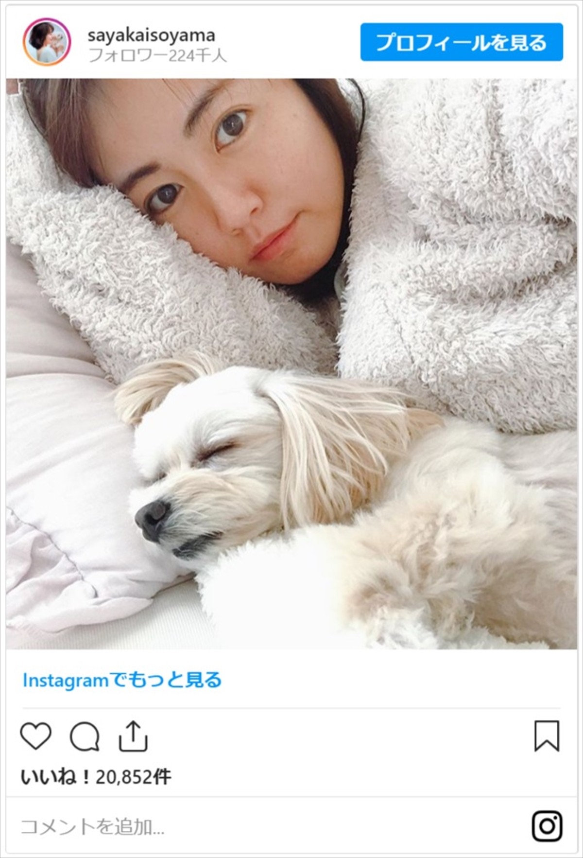 磯山さやか、愛犬と“ステイホーム”　ナチュラルな美ぼう＆ナイスバディぶりに絶賛の声