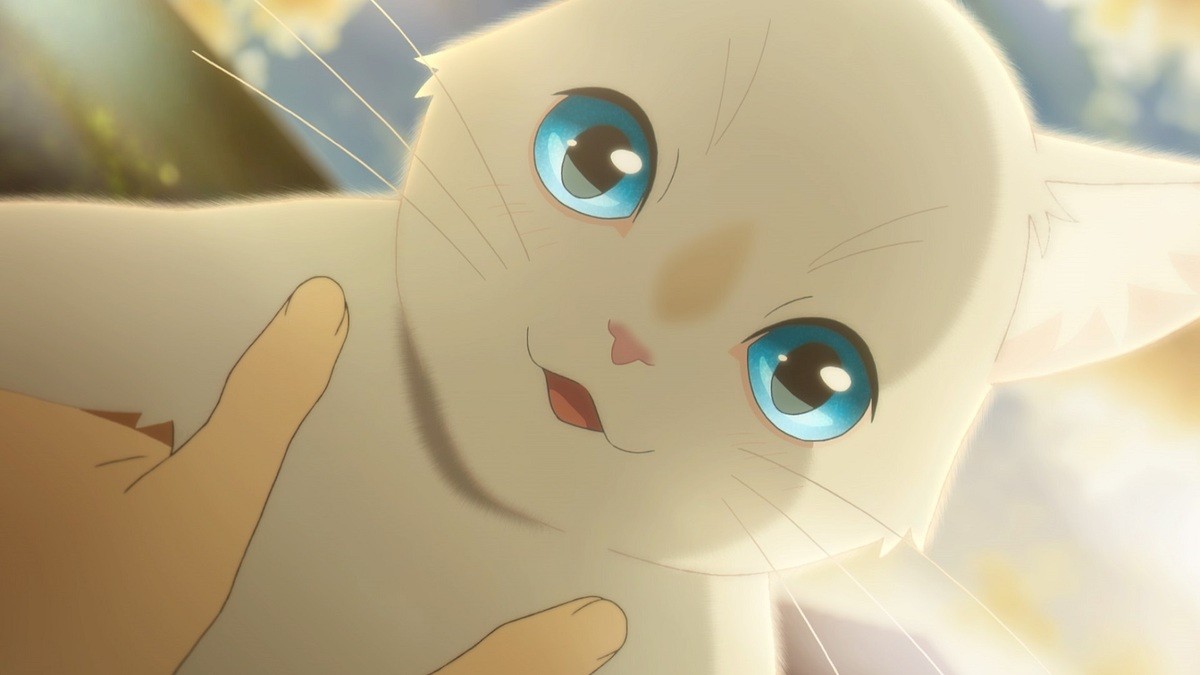 公開延期の『泣きたい私は猫をかぶる』、6.18よりNetflix独占配信