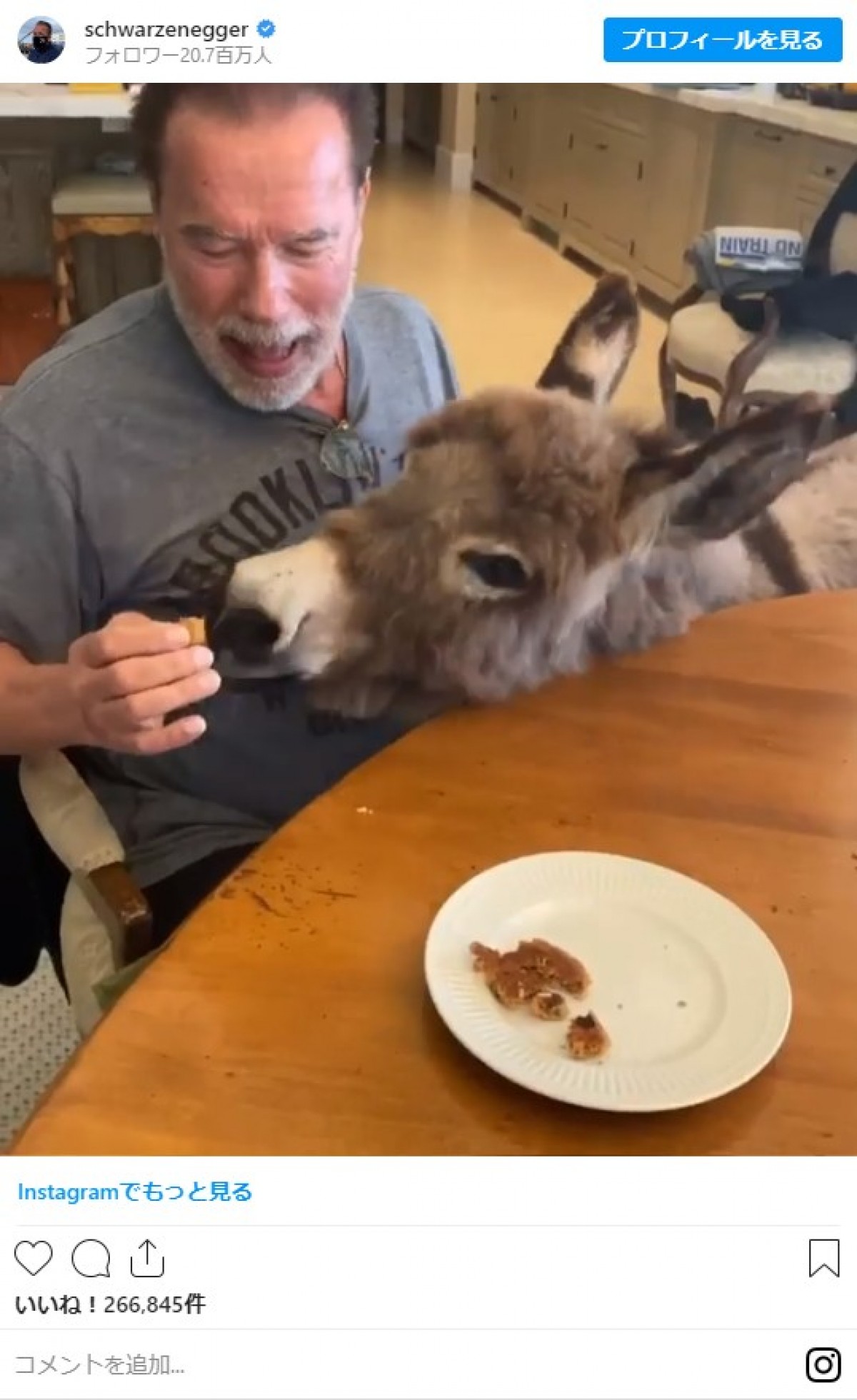 キスやイメチェンも！ ベン・アフレック、アリアナ・グランデらセレブの自粛生活をのぞき見
