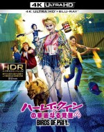 映画『ハーレイ・クインの華麗なる覚醒 BIRDS OF PREY』4K ULTRA HD＆ブルーレイセット平面