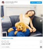 山本舞香、ノースリーブ＆へそ出しコーデ　ワンコと戯れるショット　※「山本舞香」インスタグラム