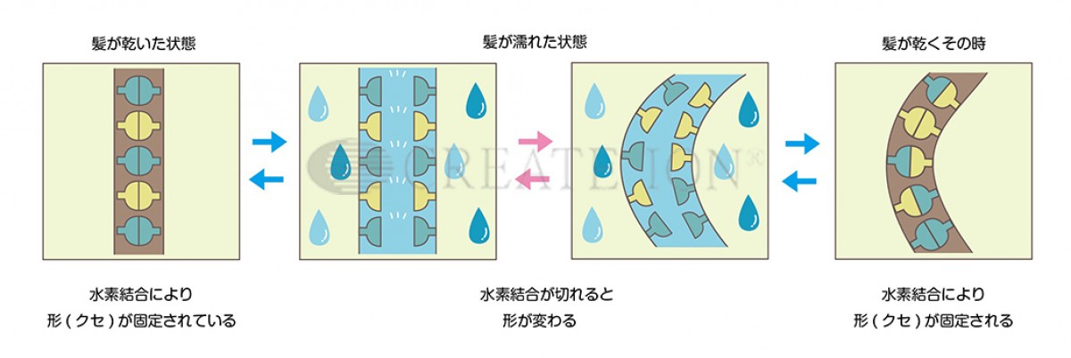 うるおい髪になれる方法