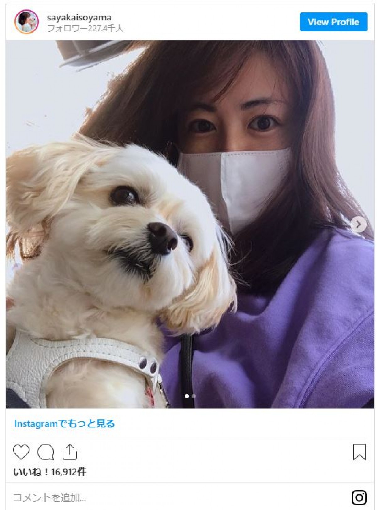 磯山さやか、マスク姿に「美しい」「綺麗」の声　愛犬とのお散歩ショット