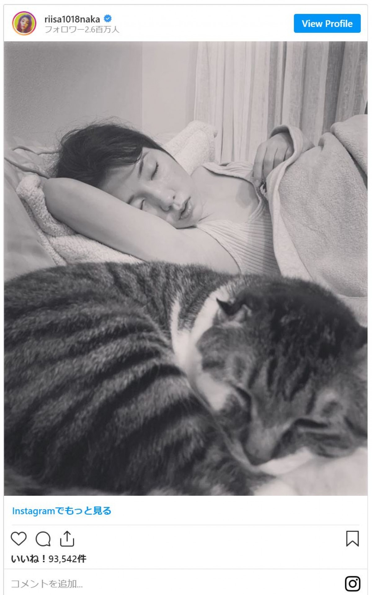 仲里依紗、愛猫と“うたた寝”する姿に「寝顔が美しすぎ」の声