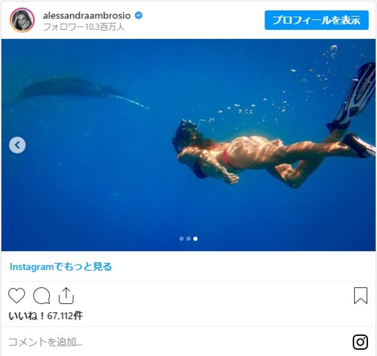 アレッサンドラ・アンブロジオ、赤ビキニの美尻披露　海洋保全を呼びかけ