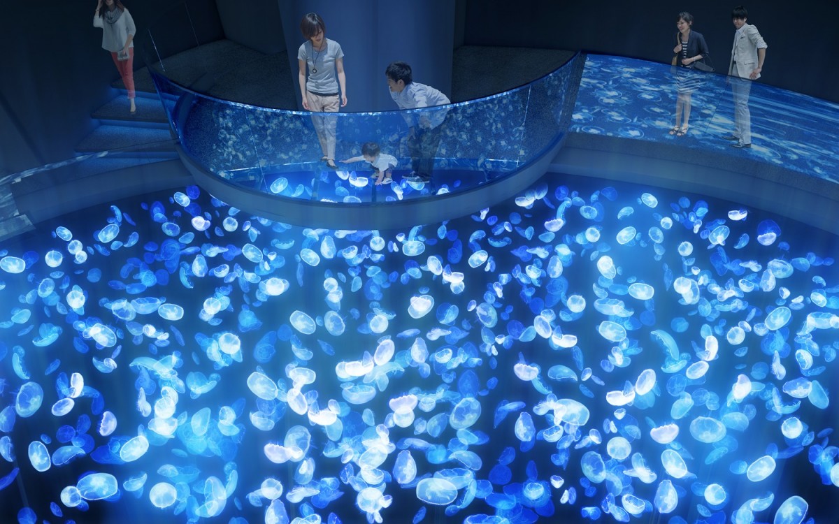 すみだ水族館 7 16にリニューアルオープン 日本最大級のクラゲ水槽を新設 年6月18日 おでかけ クランクイン トレンド