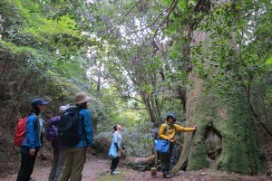 ANDO HOTEL　奈良若草山　ホテル