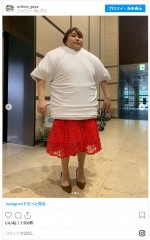 りんごちゃん、50枚のTシャツを着込んだ姿　※『ウチのガヤがすみません！』インスタグラム