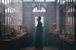 映画『イップ・マン 完結』場面写真
